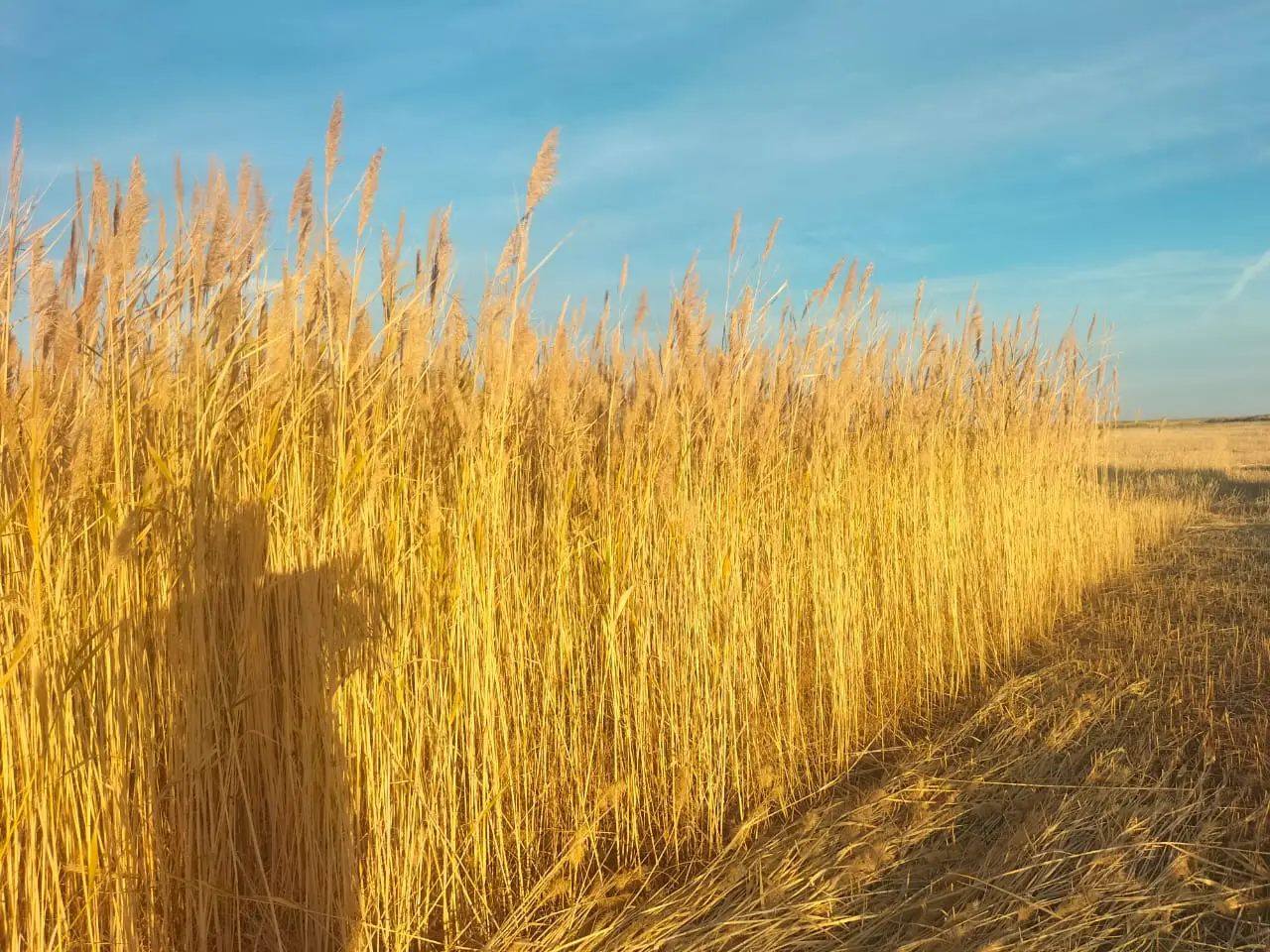 Doğal Malzemenin Gücüyle Tanışın