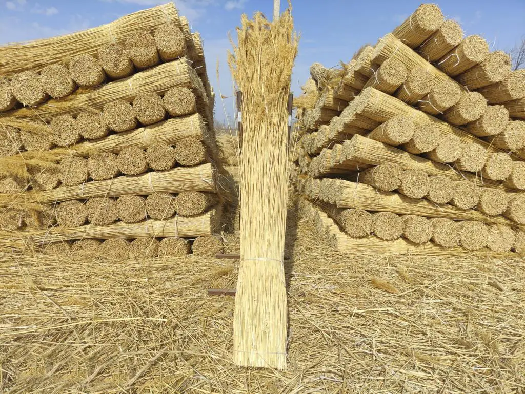 GENİŞ TEDARİK AĞI